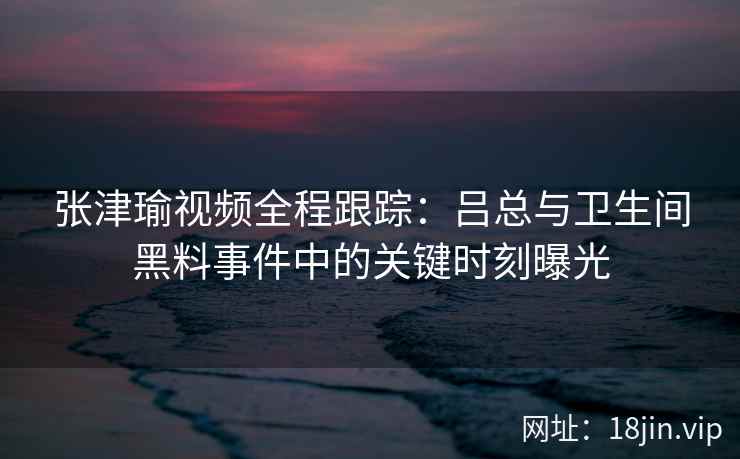 张津瑜视频全程跟踪：吕总与卫生间黑料事件中的关键时刻曝光