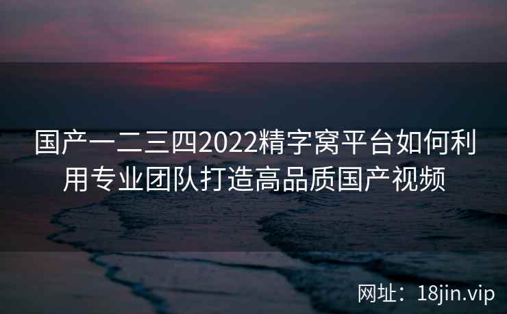 国产一二三四2022精字窝平台如何利用专业团队打造高品质国产视频  第2张