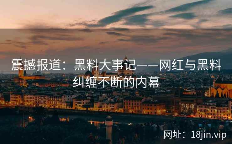 震撼报道：黑料大事记——网红与黑料纠缠不断的内幕  第2张