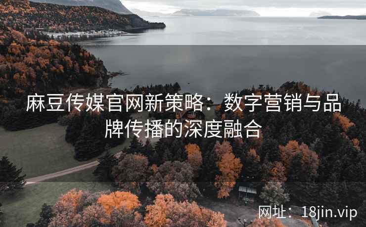 麻豆传媒官网新策略：数字营销与品牌传播的深度融合  第2张