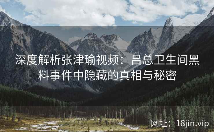 深度解析张津瑜视频：吕总卫生间黑料事件中隐藏的真相与秘密  第2张